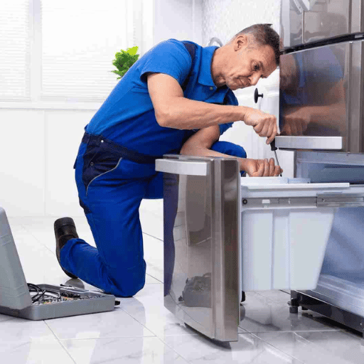 Freezer Repair & Maintenance (2)